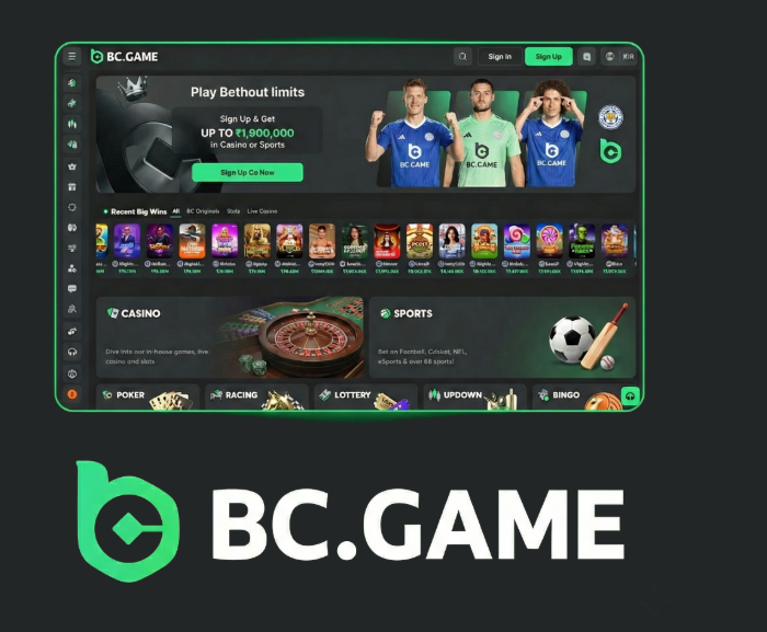 Ultimate BC.Game Bonus Guide Maximize Your Rewards -217282432